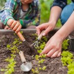 Comment prendre soin de son jardin potager ?