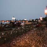 fêtes traditionnelles de Bordeaux